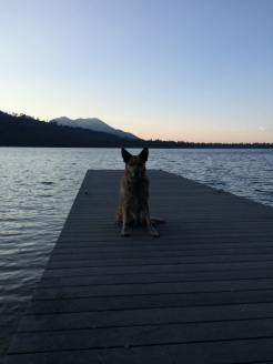 Here is Lolo sitting on our family dock at Fallen Leaf Lake and she is looking east.